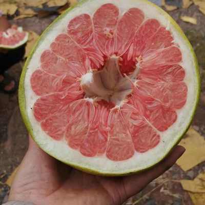 紅心柚批發(fā)價格探析 優(yōu)質貨源，價優(yōu)物美
