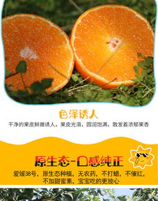 眉山愛(ài)媛38號(hào)果凍橙 自然鮮甜，孕媽首選的多規(guī)格柑橘批發(fā)佳品